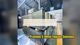 Yüksek Hızlı Metal Paketleme için Premium 0 19mm Teneke Levha